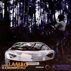 Lamborghini/prod drt beatz /Revuluh/AOPDHcrew 🌊🌊💍💎