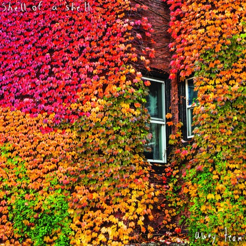 Shell of a Shell - Knock