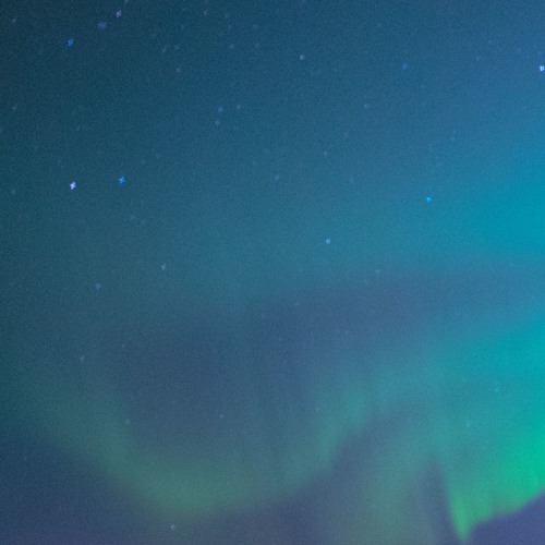 Rain Check ( EUPHORIA SONG CONTEST)