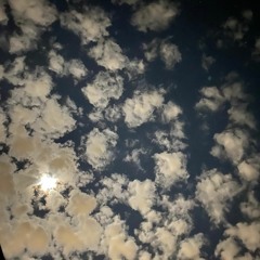 Dementia (prod. VeggieTempura)