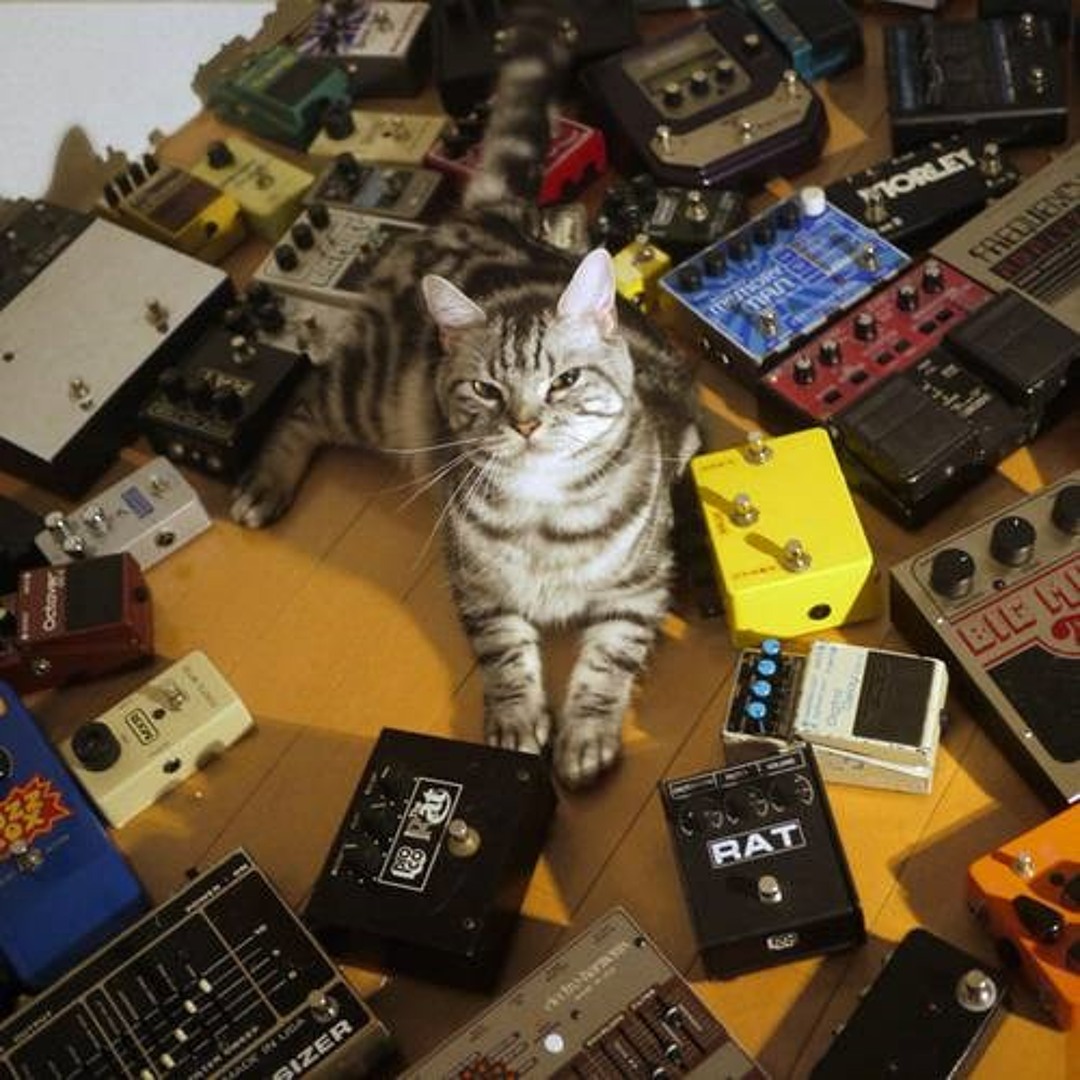 Stream LIL Fiji | Listen to 東京酒吐座 / Tokyo Shoegazer