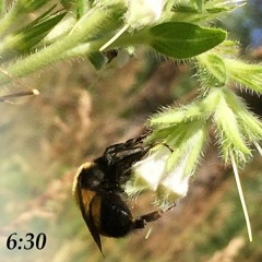 Seeing In Another Spectrum