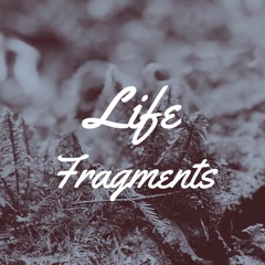 Fragments of life