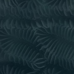 boeckler // aequalmix #11