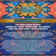Electric Forest 2020