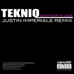 TekniQ-Sum Funk In Jazz (Justin Imperiale Remix)
