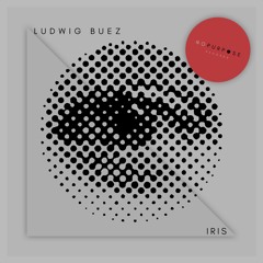 Escape Room (No Purpose Records)