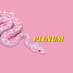 Nitro Bounce DJ Team (DJStorno & 2cute2cue) - Plenum Release Party