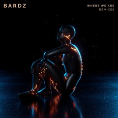 BARDZ - Where We Are (feat. Blest Jones) (Devin Riggins Remix)