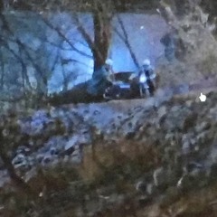 Free Dani (Prod. by Loucaluar)