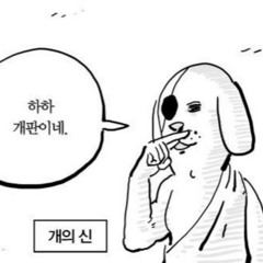 개판 Remix