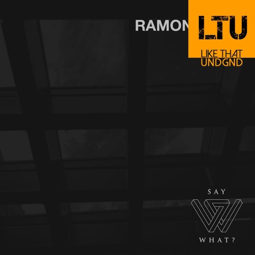 Premiere: Ramon Tapia - Plastik (Nicolas Taboada Remix) | Say What?