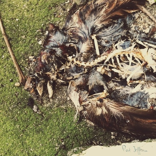 Park Jefferson - There's Too Much Talk About Ghosts