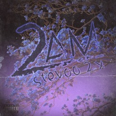 2AM Stevoo 2x