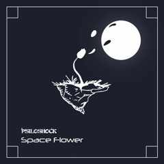 Psiloshock - Warp Zone (Intro)