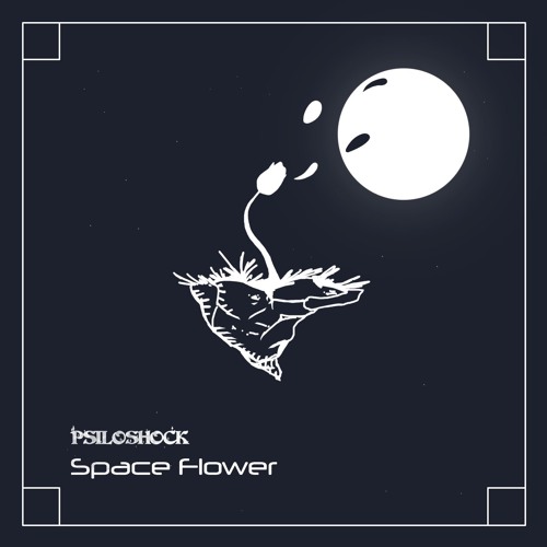 Psiloshock - Warp Zone (Intro)
