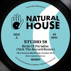 Studio 58 - Birds Of Paradise (Nick The Record)