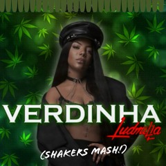 Ludmilla, KVSH, Beowulf, Flakke, Bruno Palace - Verdinha Me Gusta (ShakerS Mash!)