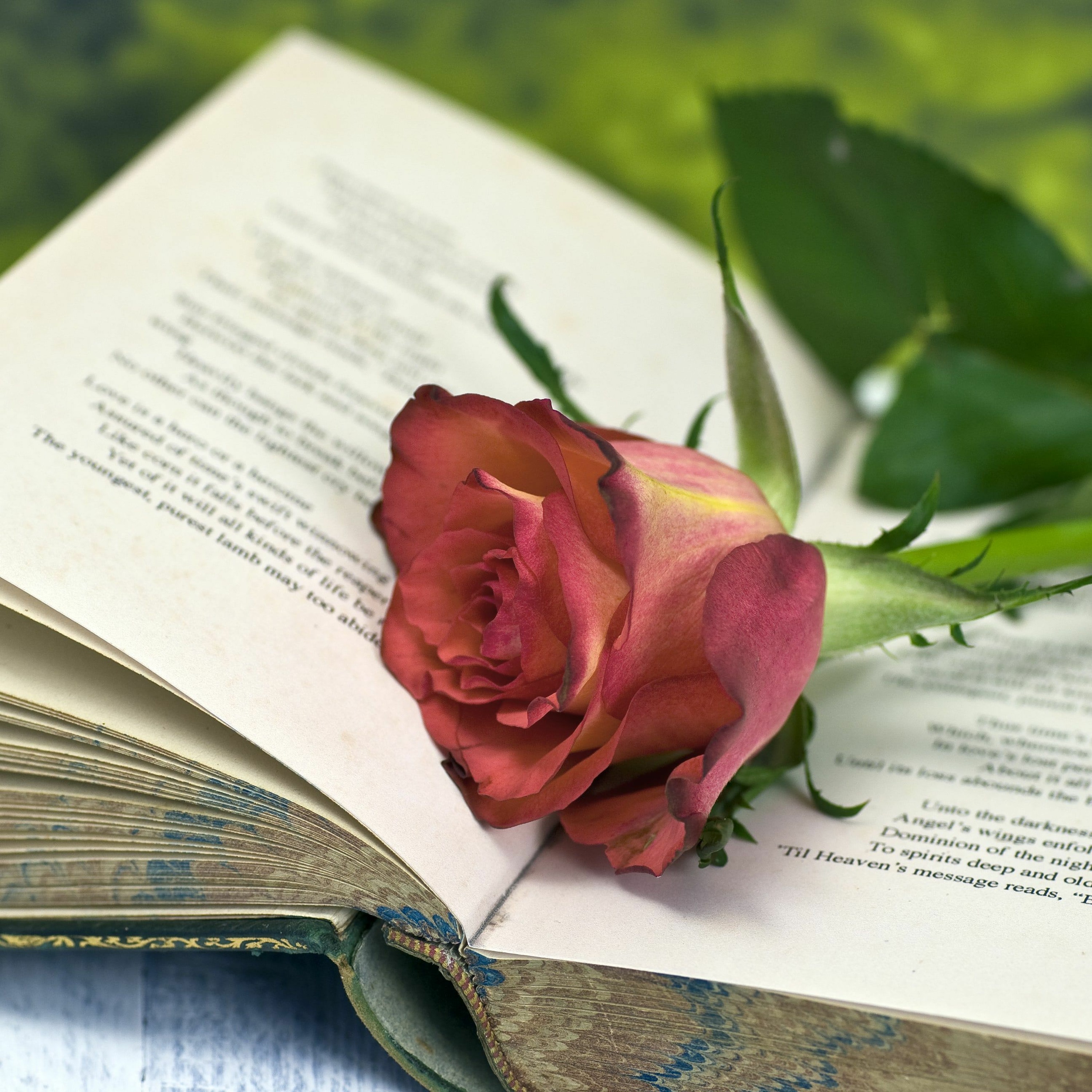 Шекспир. Любил, люблю, любим. Лекция. Наталья Жданова. Санкт-Петербург episode artwork