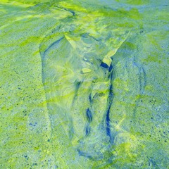 Sunny Charles - BLUEFIELD