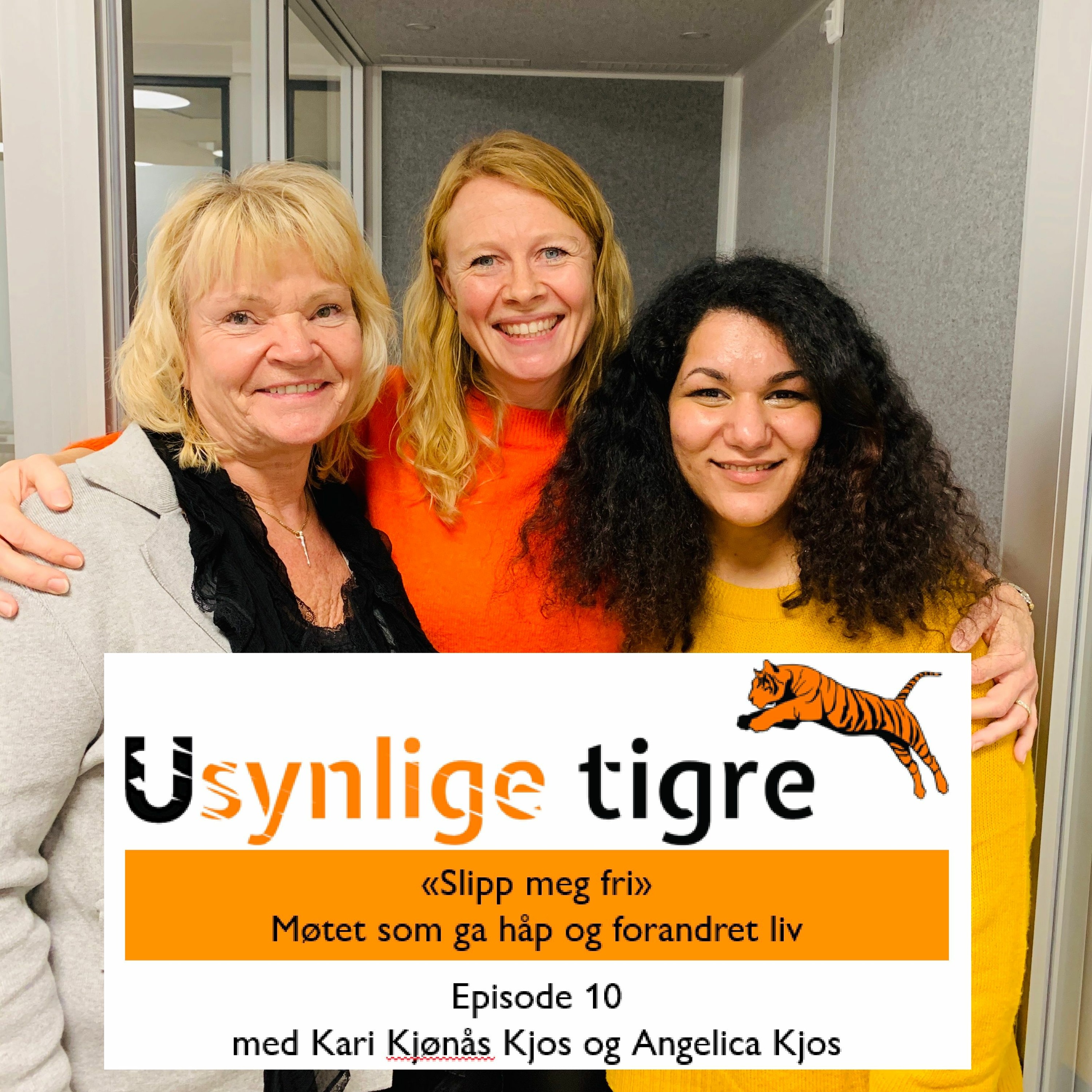 Usynlige tigre-podden
