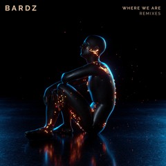 Where We Are (feat. Blest Jones) - bardz VIP Remix