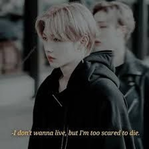 district 9 stray kids genre
