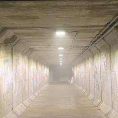 Life Of A Dream (Joeyrealone x Jay DeLucca) [prod. by Joeyrealone]