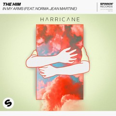 The Him - In My Arms (Harricane Remix)