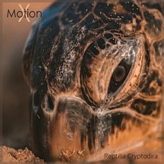 Motion X - Reptilia Cryptodira (Video Link)