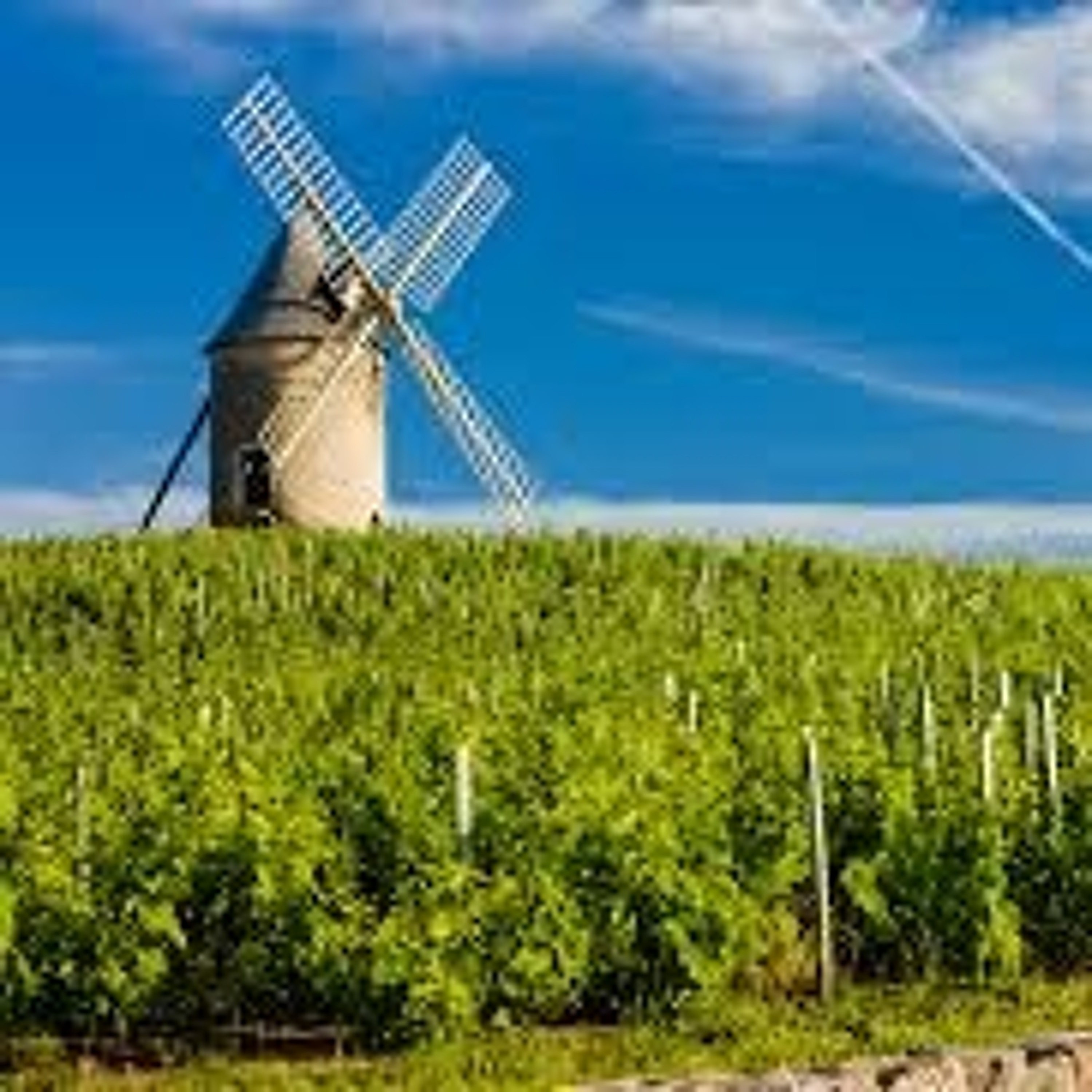 The Wonderful World of Wine (WWW)