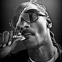 Snoop Dogg - Back up (GoldenHaze remix)