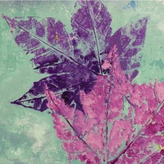 Breezy (prod. Brindy)