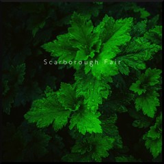 Scarborough fair (feat. TinWhistler)