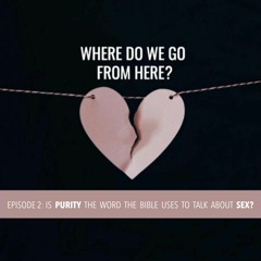Is purity the word the Bible uses to talk about sex?