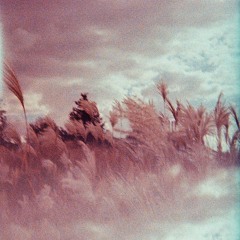 In A Left Place - Adari Momentum B