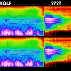 Strange Unknown Noise Caught On Video - Cleaned & Enhanced