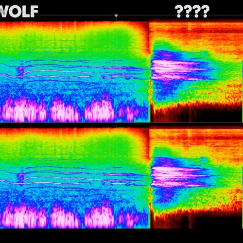 Strange Unknown Noise Caught On Video - Cleaned & Enhanced