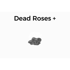 Fav Houston Artist🔥