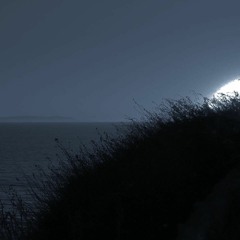 Trippin - Olu (Produced by K. THEO)