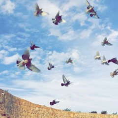 سورة الأنبياء، القارئ رعد الكردي.