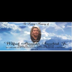 Fly High (Cheekz Tribute) - Jaay - 2019