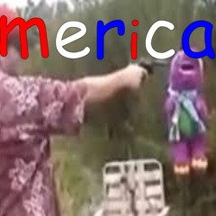 Dixie Union($anty Remix)