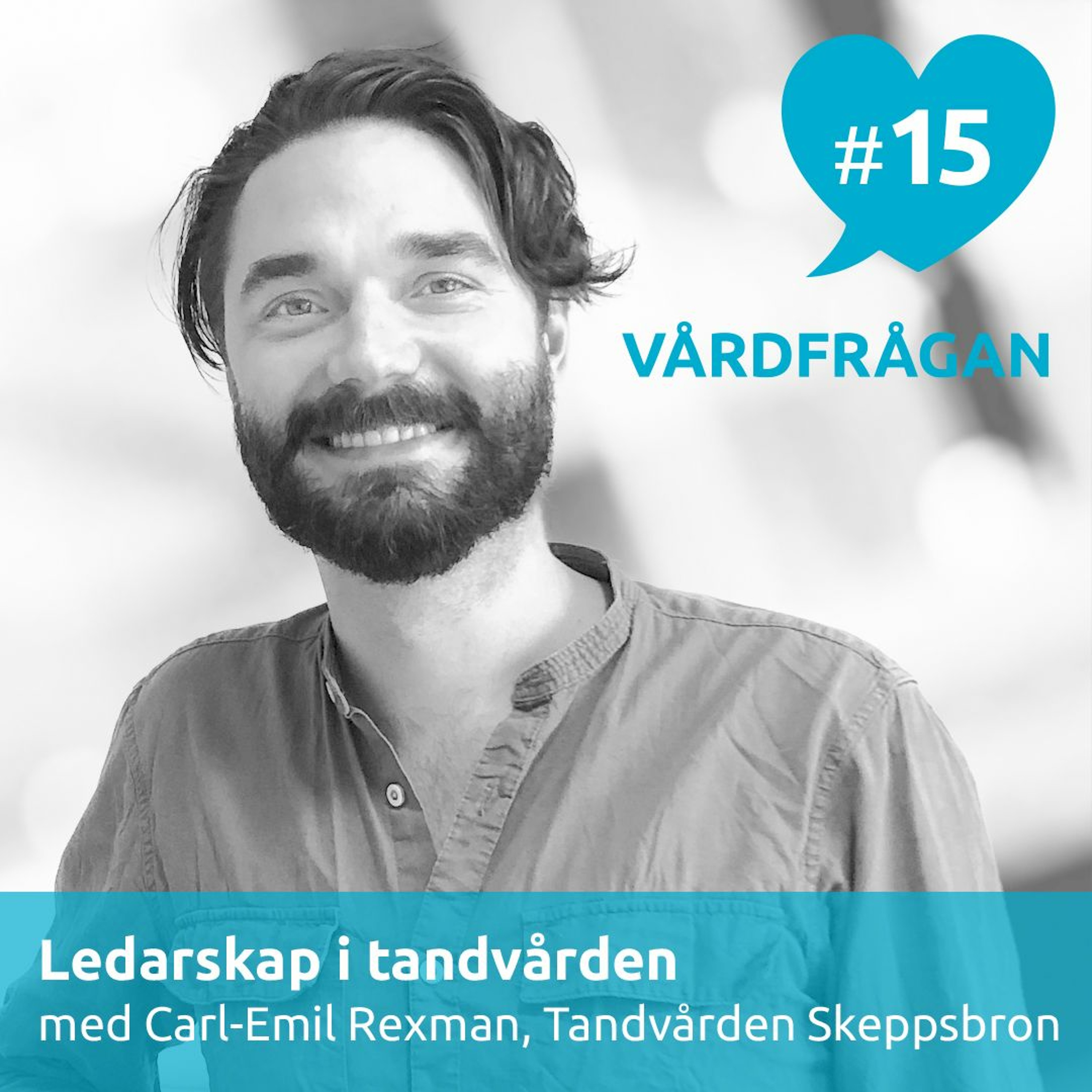 Vårdfrågan