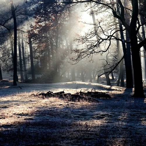 Cold And Light - [Hans Zimmer Strings]