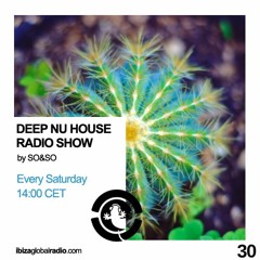 Ibiza Global Radio - Deep Nu House by SO&SO Episode 030