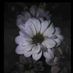 "Death Flowers" music and voice by me./Text and graphic art of Elisa Laura(instagram: e.l.writings)