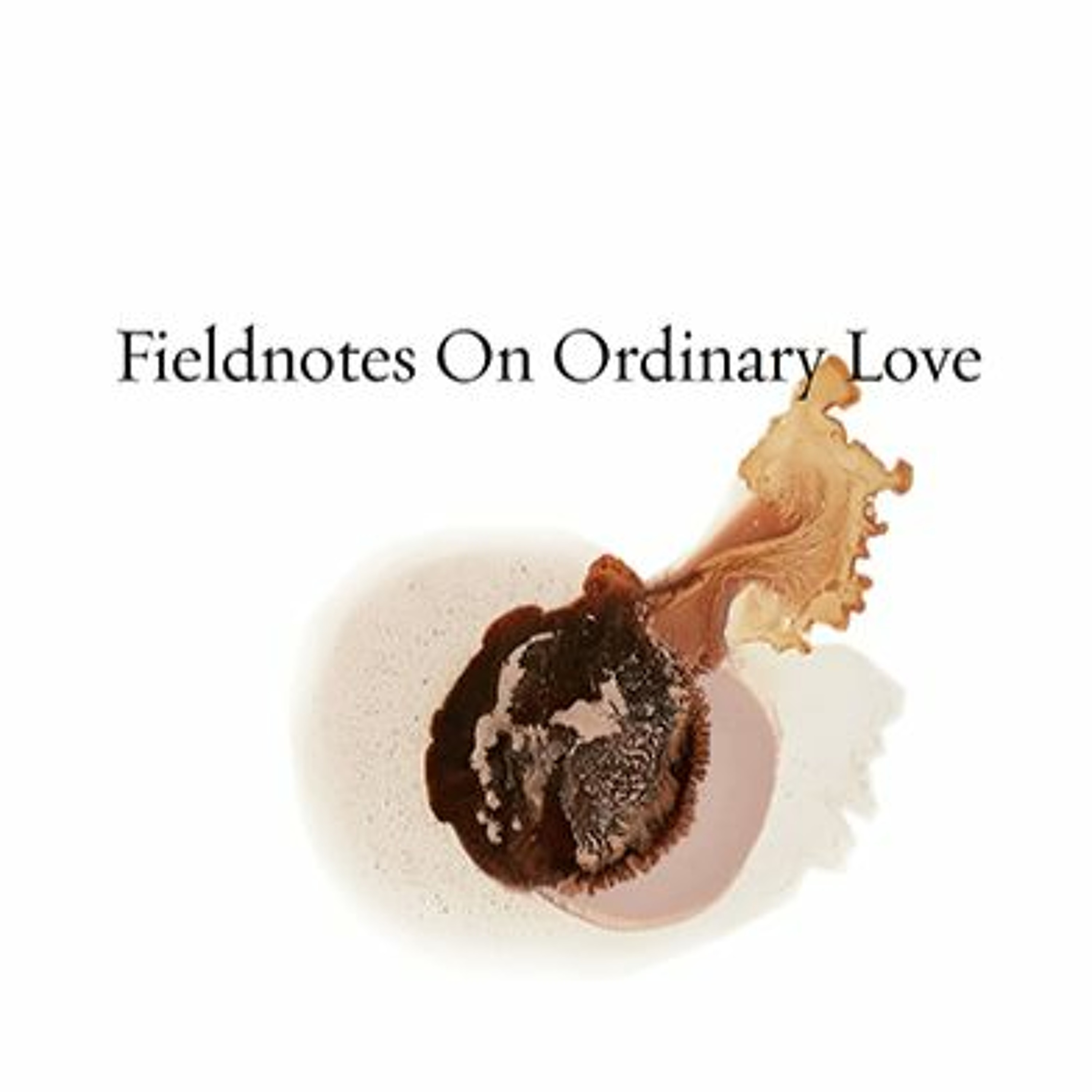 Fieldnotes on Ordinary Love by Keith S. Wilson episode artwork