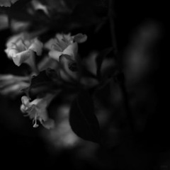 Doc Voc "Als die Welt erkrankte" prod. Doc Voc