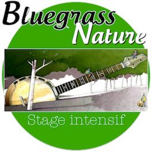 Steel guitar rag
